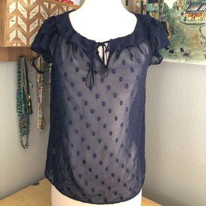 Ann Taylor Loft Romantic Feminine Semi Sheer Blouse